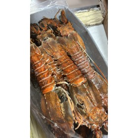 ARAGOSTELLA INDOP. 21/30 GR. 800 GELO